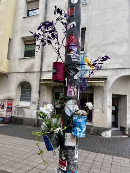 Nürnberg forscht